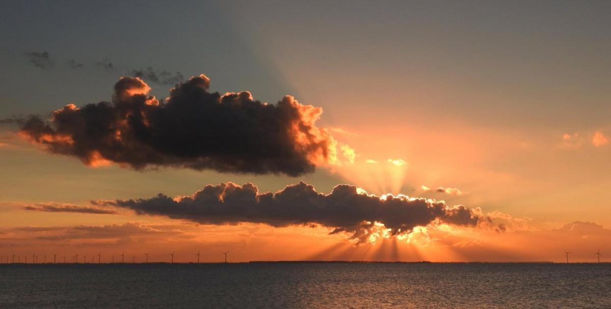 B&B De Horizon Urk Bagian luar foto